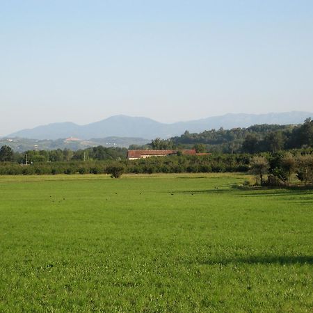 Agriturismo La Tilia Lequio Tanaro Exterior photo