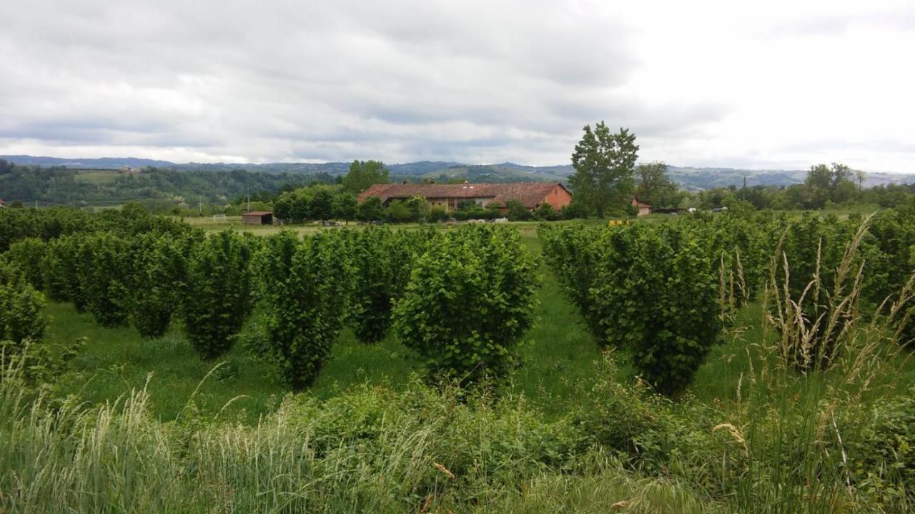 Agriturismo La Tilia Lequio Tanaro Exterior photo