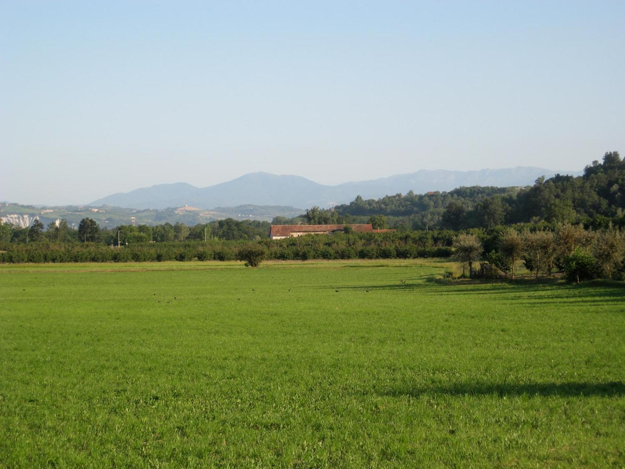 Agriturismo La Tilia Lequio Tanaro Exterior photo